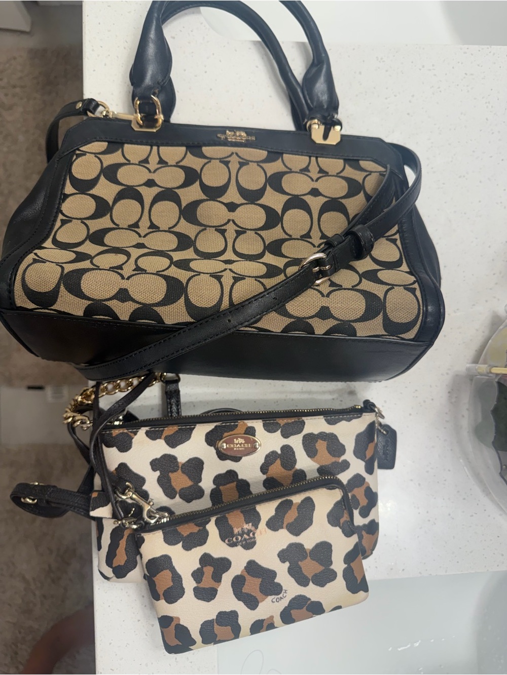 Coach Bag Bundle